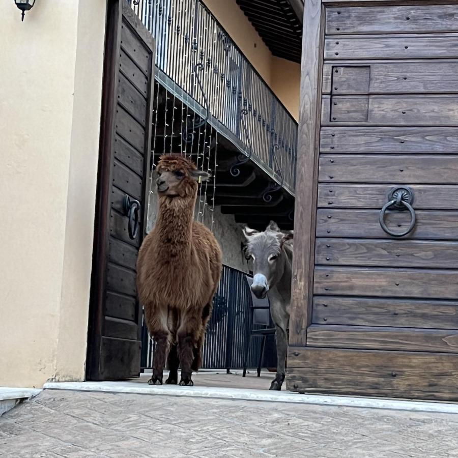 Borgo Incantato Spoleto Pompagnano 外观 照片